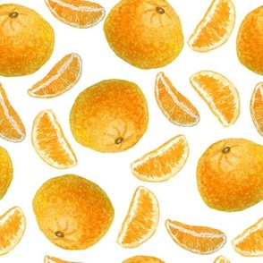Orange Citrus Fruit & Slices on White Background