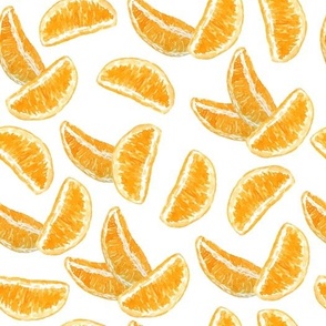 Orange Citrus Slices on White Background 