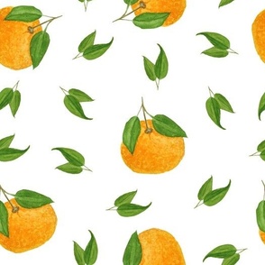Orange Citrus with Green Leaves on White Background