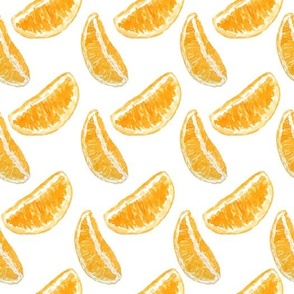 Orange Citrus Slices on White Background