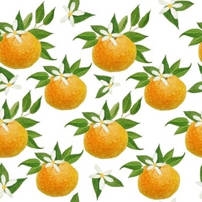 Orange Tangerines with Leaves & Flowers