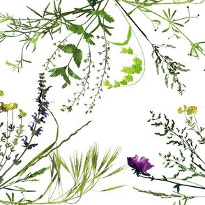 Precious weed meadow: A green botanical herbarium, large