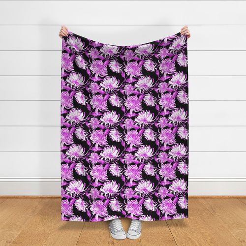 purple chrysanthemums - black