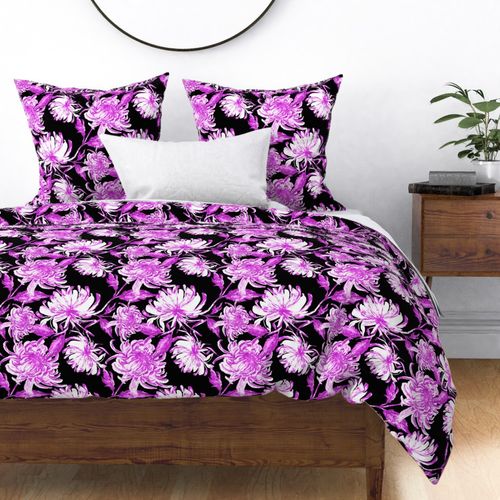 purple chrysanthemums - black