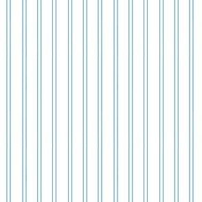 vertical blue  lines 1-08 2,6x2,6