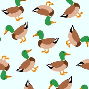 mallard ducks on aqua blue MEDIUM