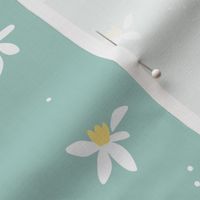 Minimalist paper cut daffodils and seeds for spring - blossom garden abstract flower design orange white on light teal blue