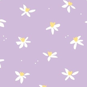 Minimalist paper cut daffodils and seeds for spring - blossom garden abstract flower design orange white on lilac purple