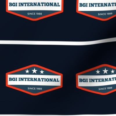 BGI International Logo 