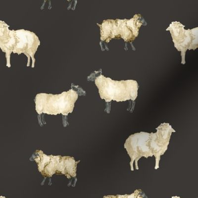 Sheep in Night