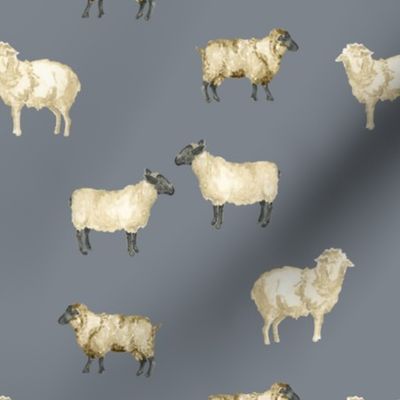 Sheep in Storm