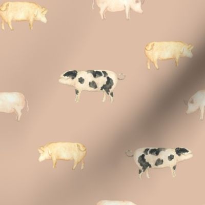 Pigs in Dahlia