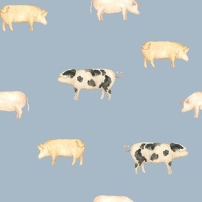 Pigs in Pale Blue