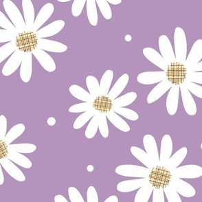 Daisy Flowers (crocus petal)