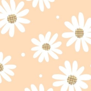 Daisy Flowers (creamsicle)