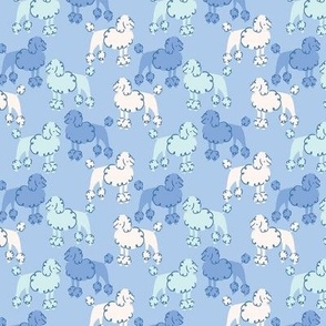 Playful Poodles on Blue - Small