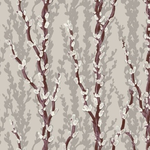 Pussy willows / catkins on beige / neutral