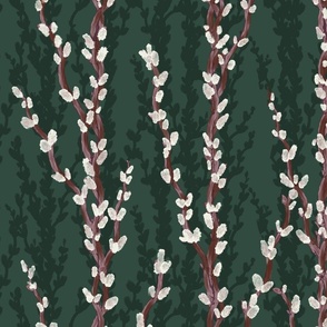 Pussy willows / catkins on dark green