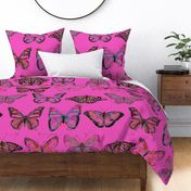 Butterfly Love - Hot Pink Edition - X Large Scale 