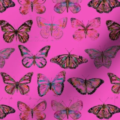 Butterfly Love - Hot Pink Edition - X Small Scale 