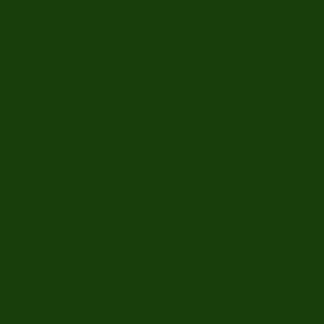 Green Solid #183E0C