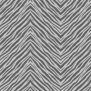 Gray zebra 12x12