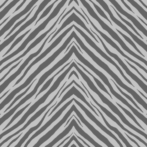 Gray zebra 18x18