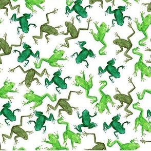 Frogs-watercolor