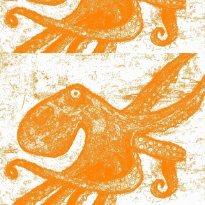 tangerine octopus