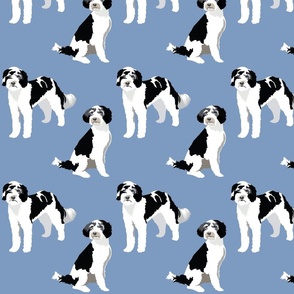 small print // Berniedoodle dog blue background dog fabric
