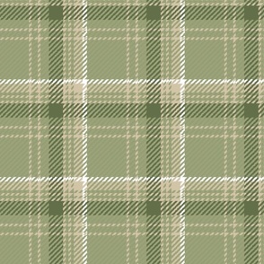 Modern Boucle Plaid in Sage Olive Green Beige White