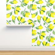 Lemon tree branches,  lemon fruits,  white background. 