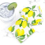 Lemon tree branches,  lemon fruits,  white background. 