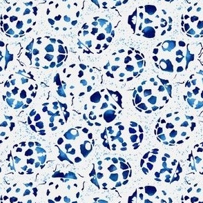 Ladybirds print white and blue