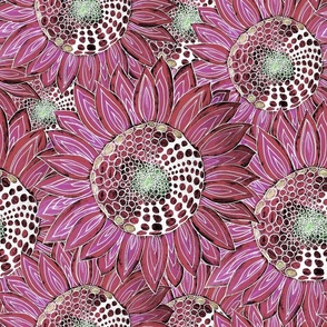 Pink space sunflowers
