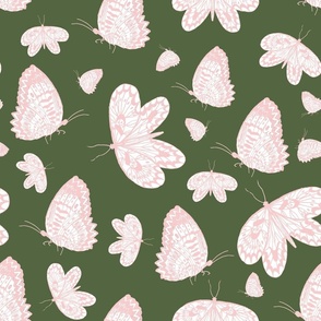 Pink delicate butterflies