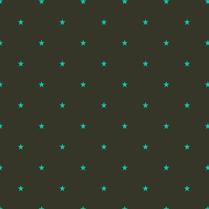 Star quilts- turquoise blue stars on black ground (Smaller)