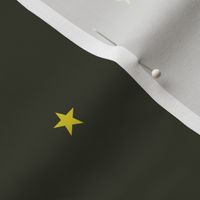 Star quilts- chartreuse yellow green star black  (smaller)
