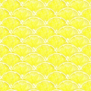 Citrus,  lemon slices,  watercolour illustration. 