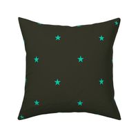 Star quilts- turquoise blue stars on black ground (small)