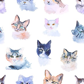 Watercolor cats on a white background