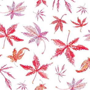 Japanese Maple Leaves - White 