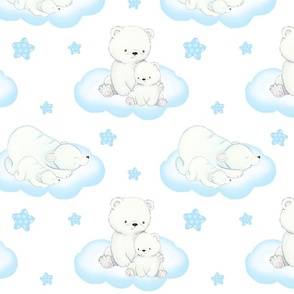 Arctic Polar Bear Clouds Stars