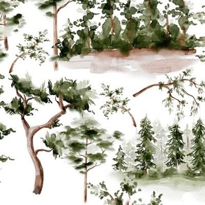 Trees in Forest Woodland Scene