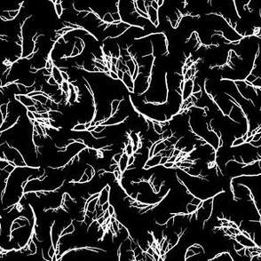 Small, Seaweed, Limu in White on Black