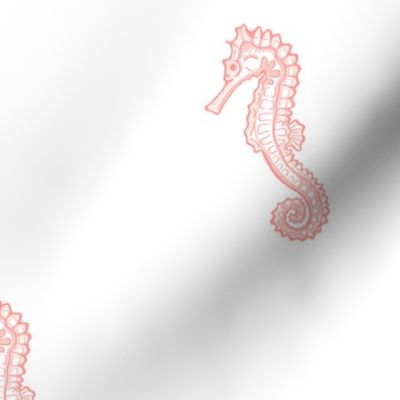 Coral Seahorses on White  - Lg