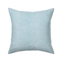 Burlap Woven texture sky blue