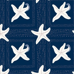 Starfish Navy