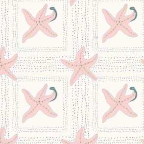 Starfish Pink & white