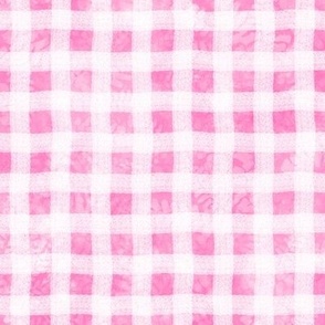 Pink Gingham w Maidenhair Texture